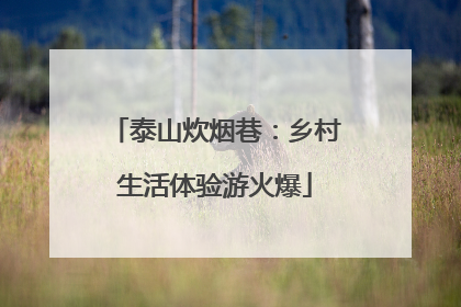 泰山炊烟巷：乡村生活体验游火爆